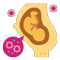 HIGH RISK PREGNANCY